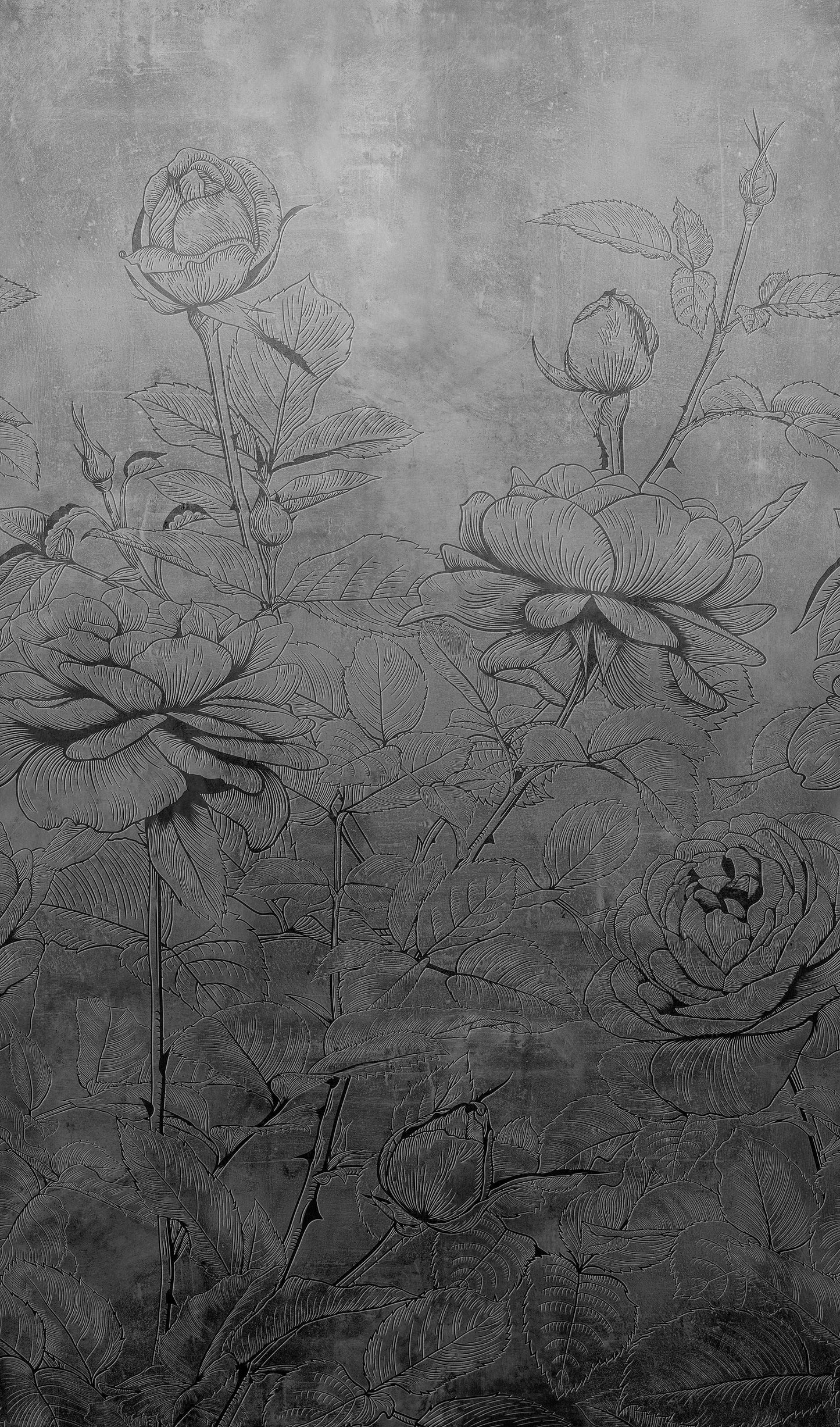 Bahía 1602 - AngelInspirationShop