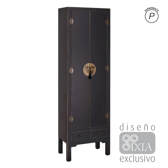 Armario 2 puertas y 2 cajones negro 55 X 33 X 185 cm