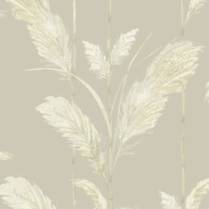 Pampas Grass Cornflower Wallpaper